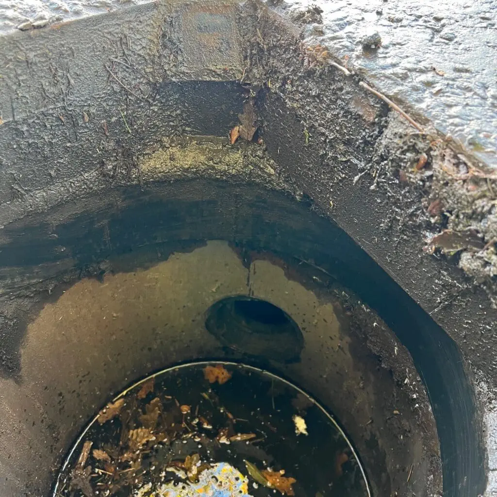 Torrent Water Management